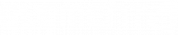 Logo blanc element5